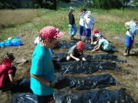 202610daikon.jpg