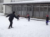 画像1.jpg