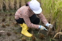 DSCF5364.JPG