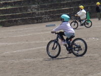 P4280027.JPG