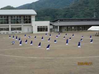 aax6.jpg