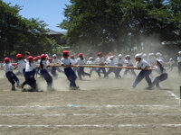 CIMG3802.JPG
