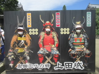 bg7.jpg