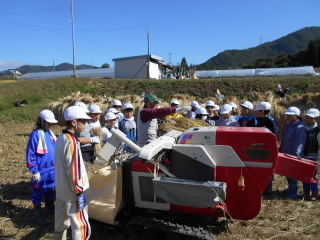 dakkokuiti.jpg