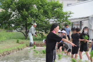 070612 taue (2).JPG