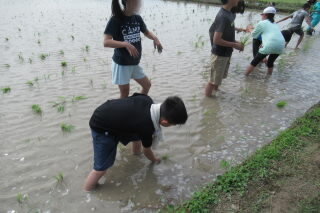 070612 taue (6).JPG