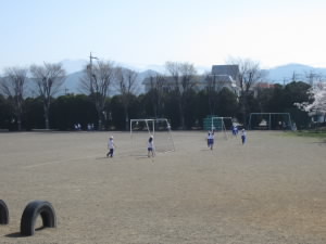IMG_7705.JPG