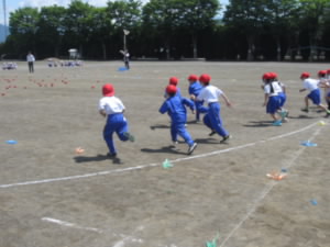 IMG_8563.JPG