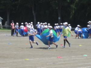 IMG_8572.JPG