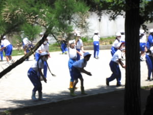 IMG_8838.JPG