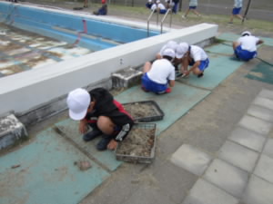 IMG_9738.JPG