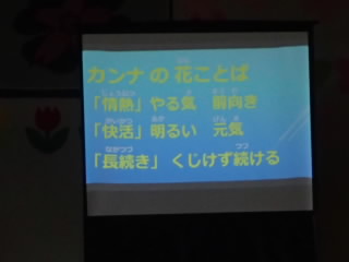 P4040054.JPG
