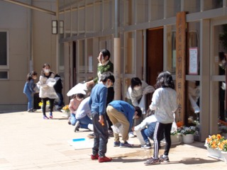 DSC00265.jpg