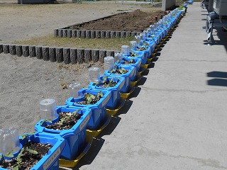 DSCN0755.jpg