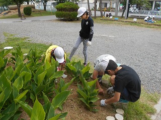 DSCN0907.jpg