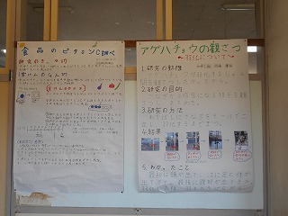 DSCN1466.jpg