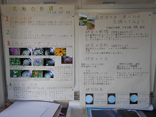 DSCN1614.jpg