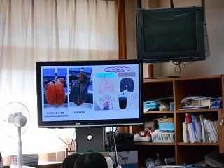 DSCN2179.jpg