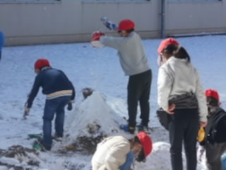 DSCN4040.jpg