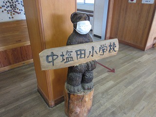 IMG_4350.jpg