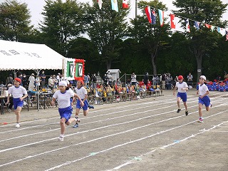 P1020273.jpg