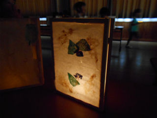 sDSCN3252.jpg
