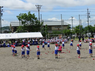 IMG_8098.JPG