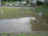 RIMG2134.JPG