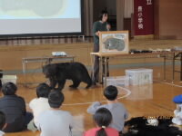 202512kuma02.jpg