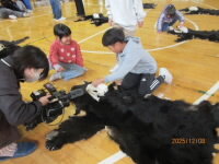 202512kuma03.jpg