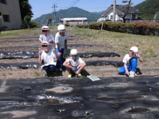 20260525-3-1.jpg