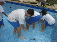 IMG_7890.JPG