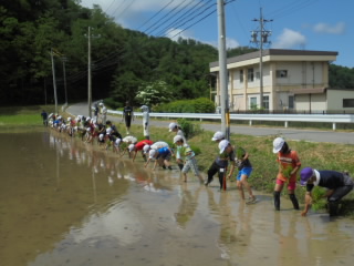 201906011taue002.JPG