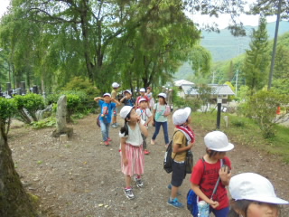 20190621hasedera002.JPG