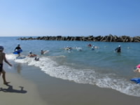 20190710uminogakusyuu010.JPG