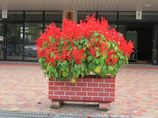 20201005hanatukuri002.JPG
