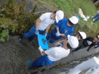 202410kawa03.JPG