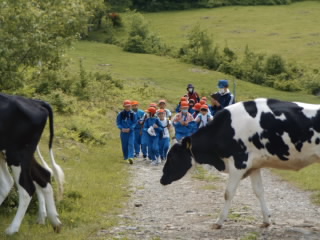 DSCF8848.JPG