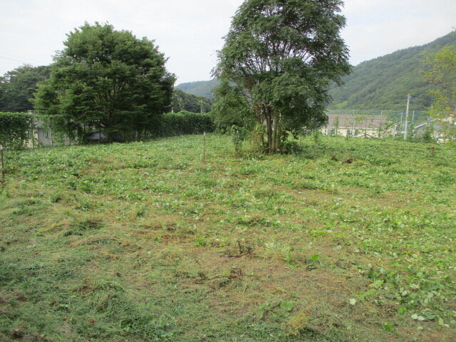 IMG_0287.JPG