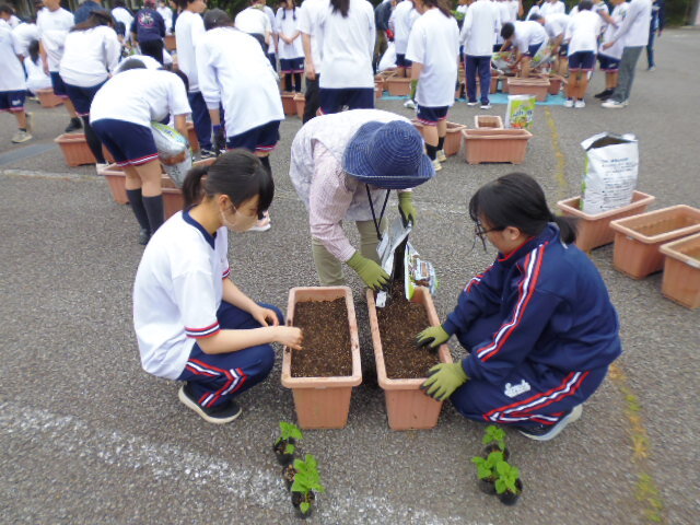 P1080506.JPG