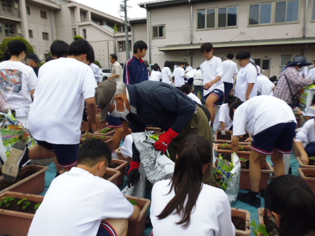 P1080516.JPG