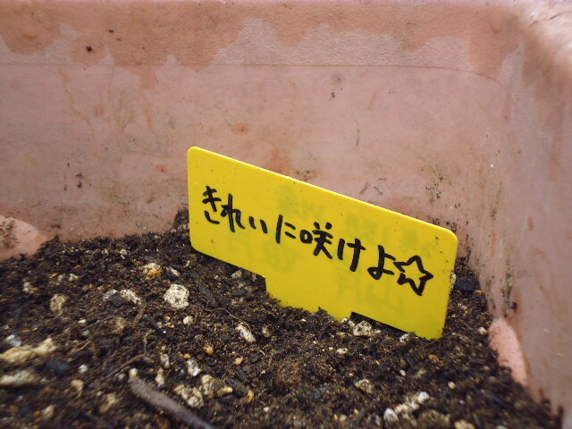 P1080525.JPG