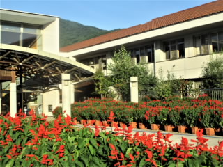 r4091215.jpg