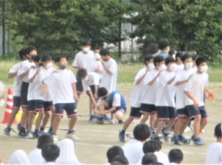 r4092603.jpg