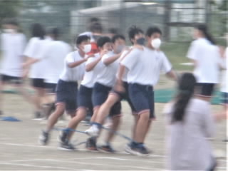 r4092608.jpg