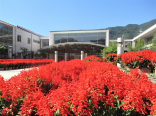 r4093002.jpg