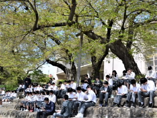 r5042003.jpg