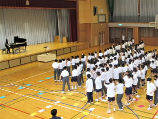 r5061306.jpg