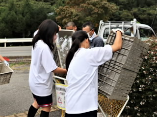 r6092102.jpg
