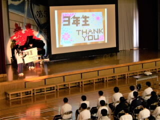 r8031311.jpg